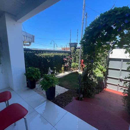 Alicia'S Place 10 Min From Airport Apartment Alajuela Luaran gambar
